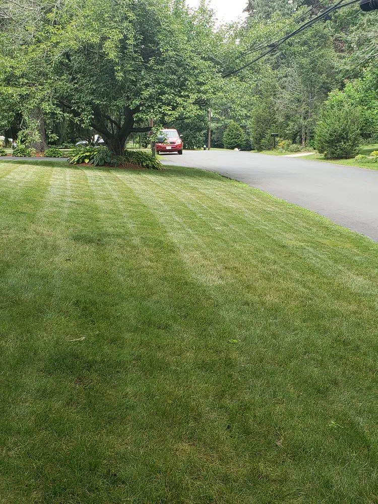 Affordable lawn care service experts serving Waltham, MA - Rafael Landscaping