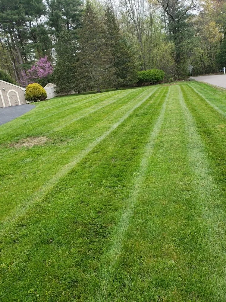 Professional landscape installation for outdoor upgrades in Waltham, MA by Rafael Landscaping