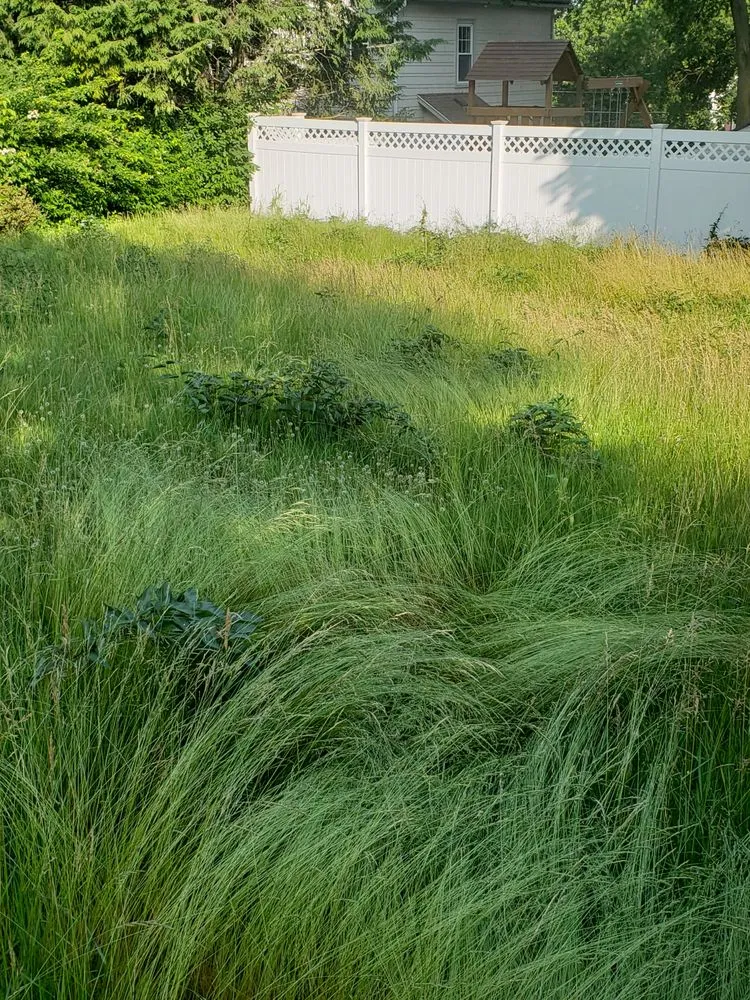 Trusted lawn care service experts serving Waltham, MA - Rafael Landscaping