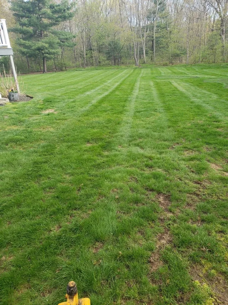 Reliable landscape installation experts serving Waltham, MA - Rafael Landscaping