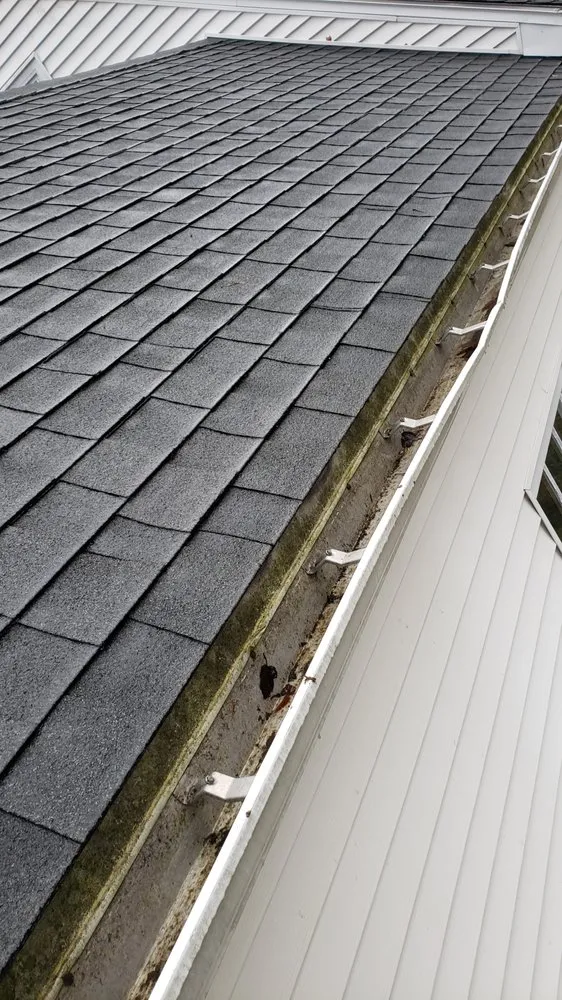 Top-rated landscape installation experts serving Waltham, MA - Rafael Landscaping