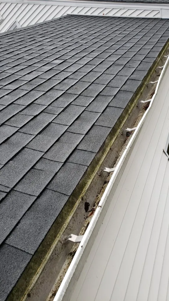 Reliable garden landscaping in Waltham, MA by Rafael Landscaping