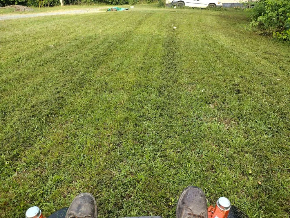 Custom yard maintenance for year-round maintenance across Dalton, GA - Rafael Merino Landscaping