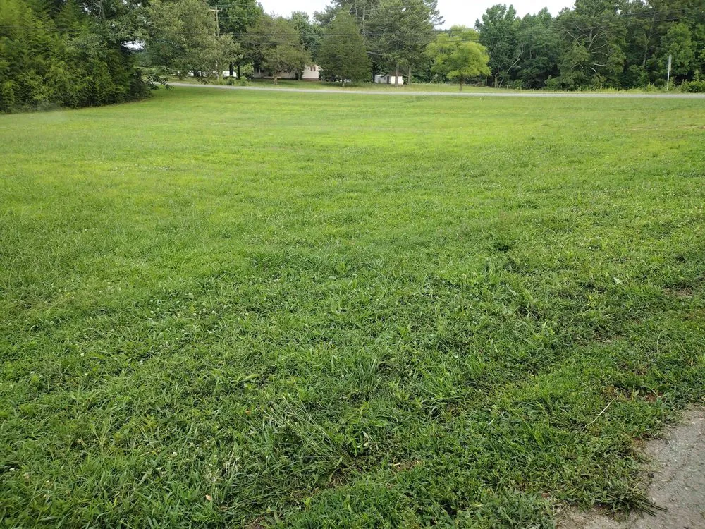 Professional lawn mowing service for homes across Dalton, GA - Rafael Merino Landscaping