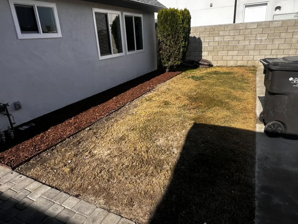 Affordable residential landscaping for beautiful yards in Costa Mesa, CA by Rafael Salinas Landscaping