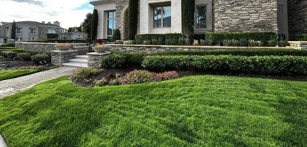 Expert landscape design with custom design across Costa Mesa, CA - Rafael Salinas Landscaping