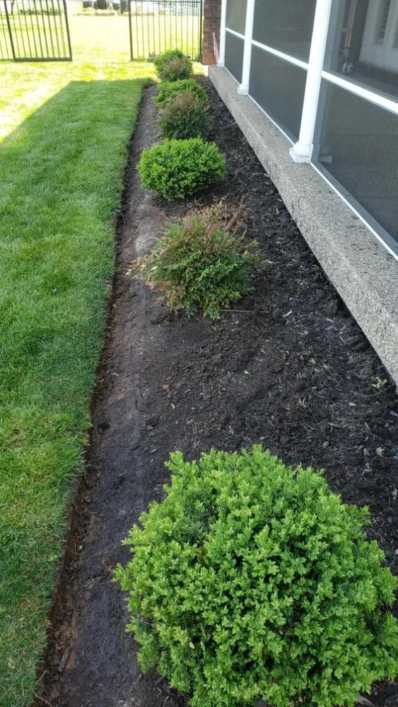 Trusted landscape design in Simpsonville, KY - Rafael Tree Services and Landscape