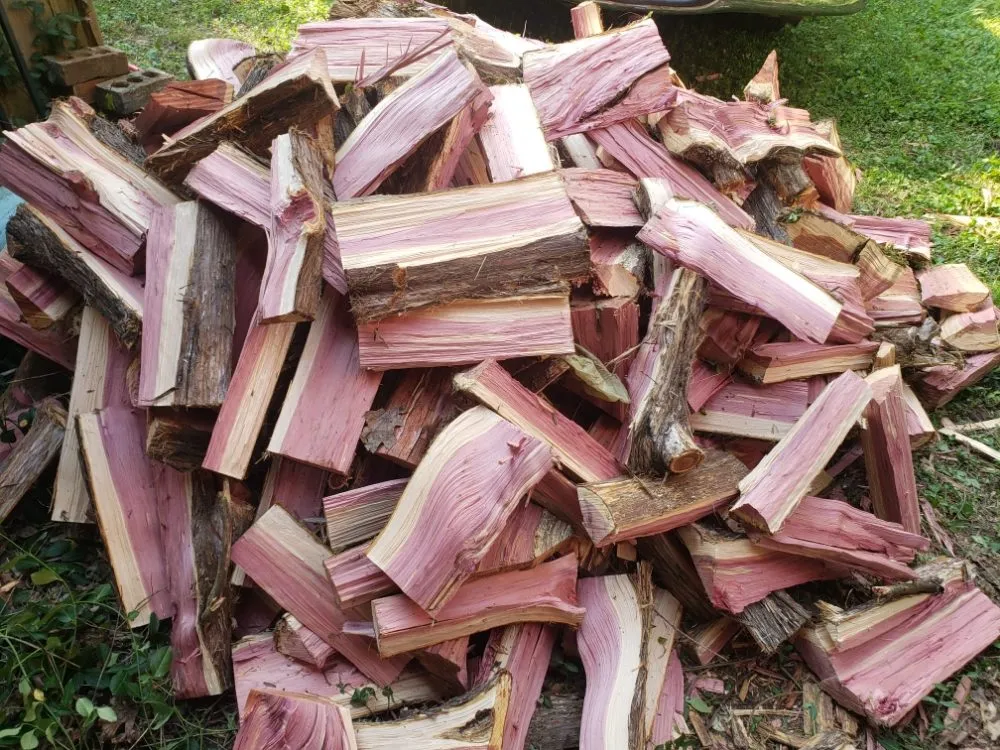 Top-rated yard maintenance in Simpsonville, KY by Rafael Tree Services and Landscape