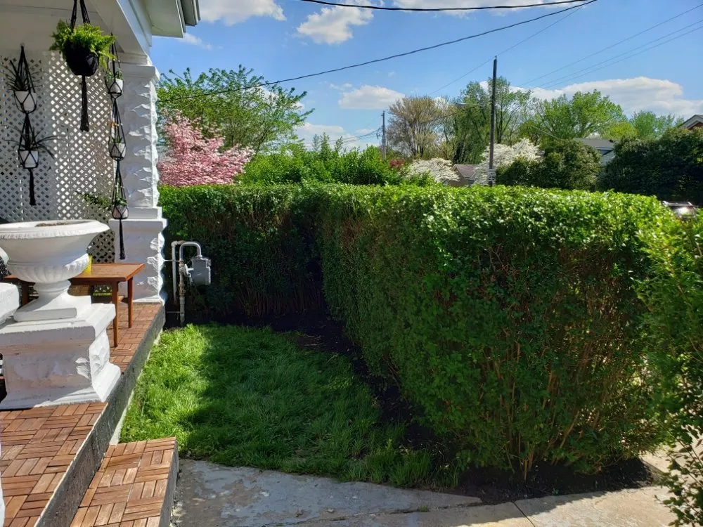 Professional yard maintenance for residential properties across Simpsonville, KY - Rafael Tree Services and Landscape