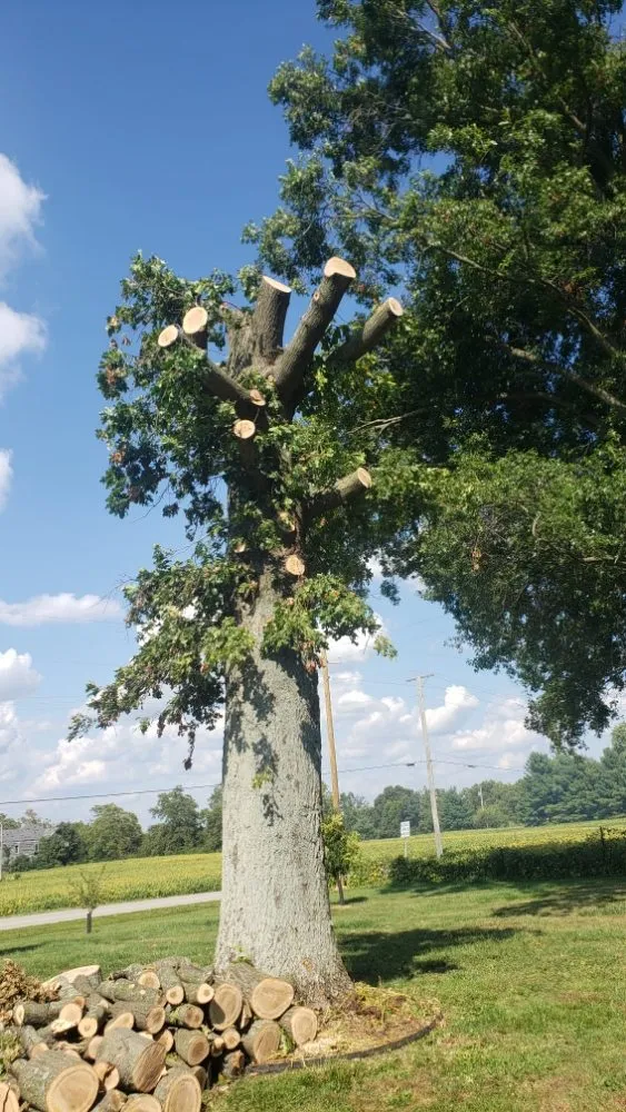 Local outdoor landscaping for beautiful yards in Simpsonville, KY by Rafael Tree Services and Landscape