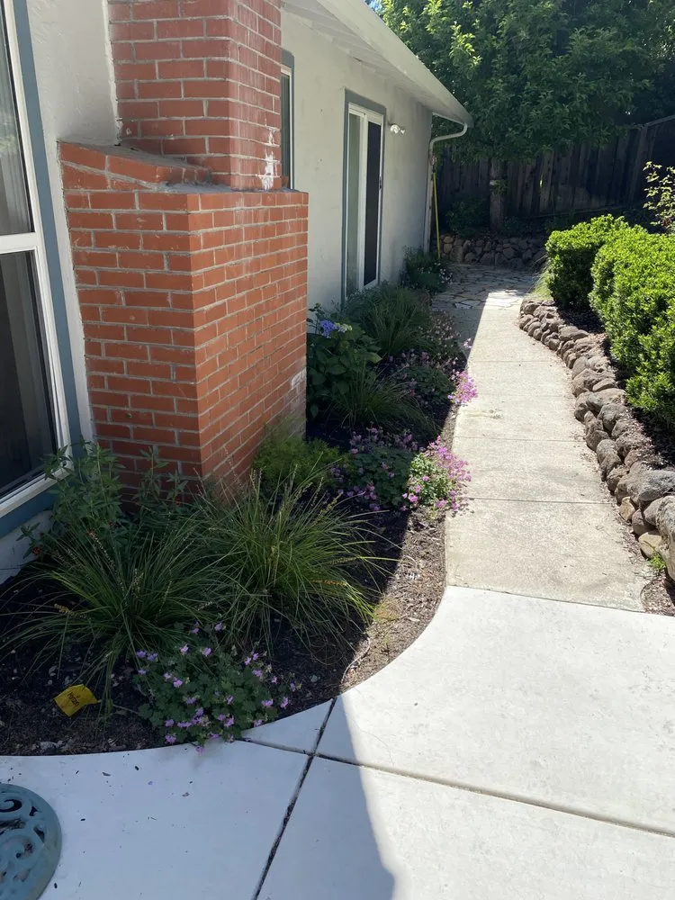 Top-rated lawn care service experts serving Concord, CA - Rafael's Landscaping