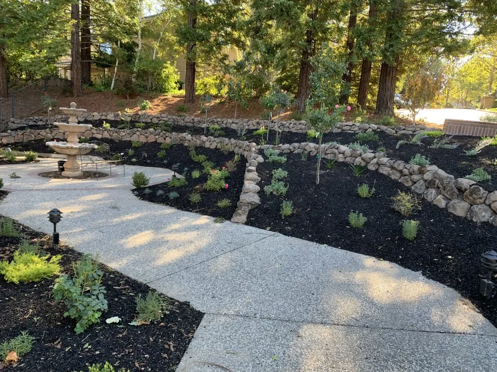 Reliable landscaping services with custom design across Concord, CA - Rafael's Landscaping
