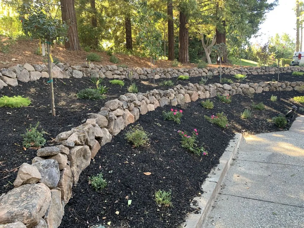 Affordable landscape installation for year-round maintenance in Concord, CA by Rafael's Landscaping