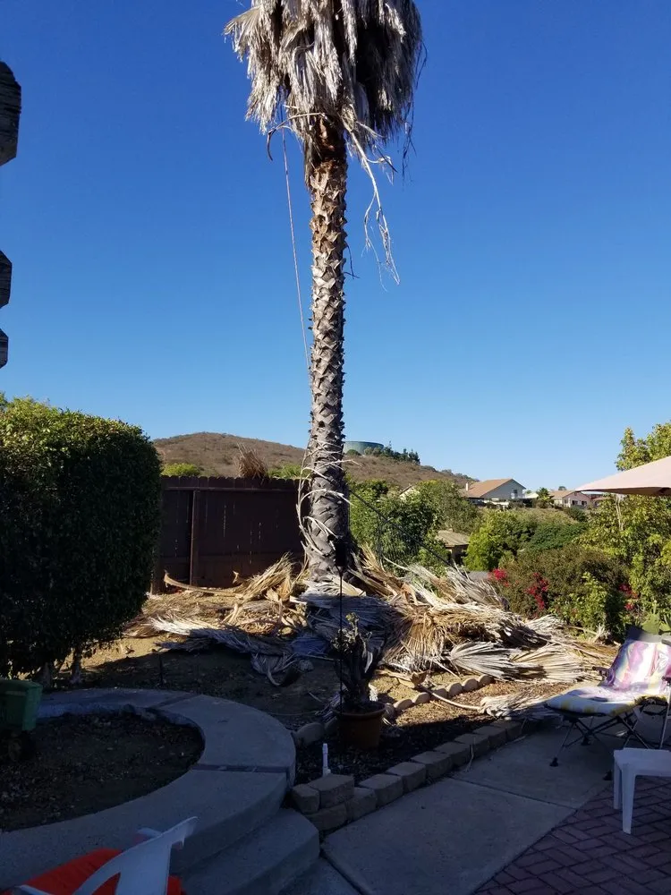 Reliable garden landscaping in San Diego, CA by Rafael's Landscaping