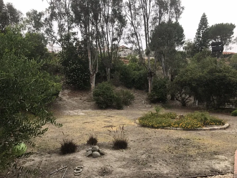 Affordable residential landscaping near you across San Diego, CA - Rafael's Landscaping