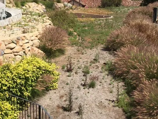 Rafael's Landscaping Logo