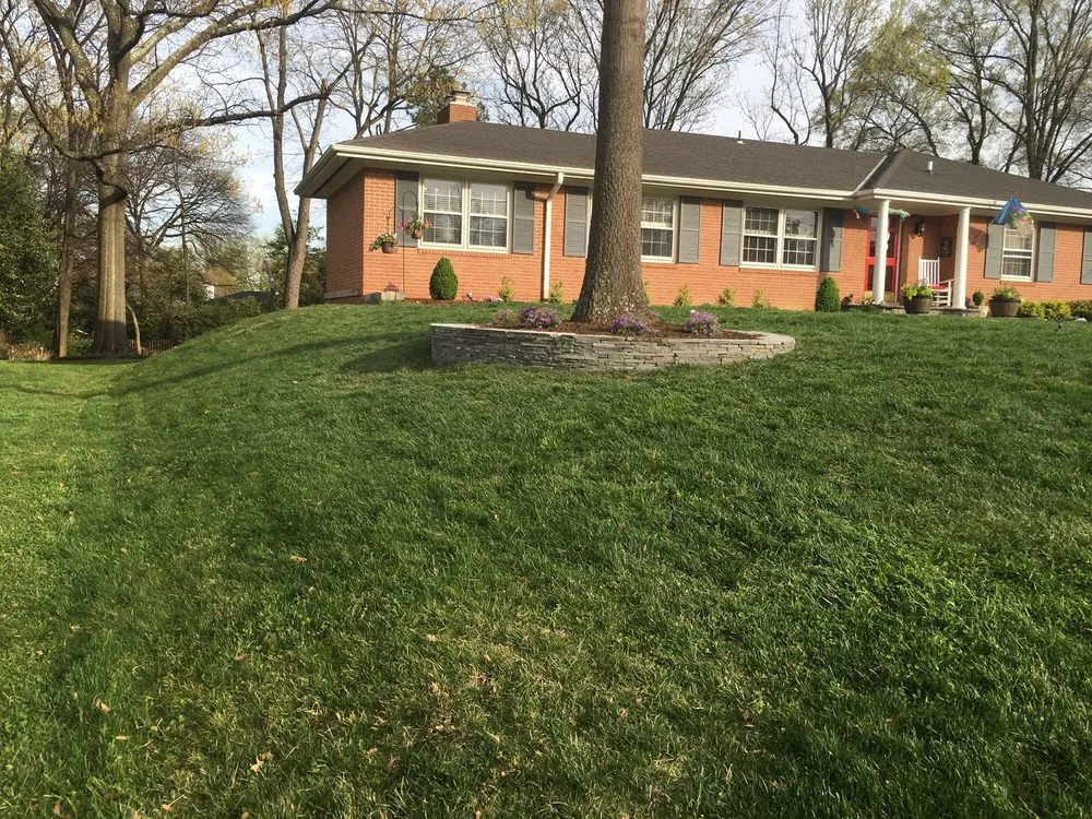 Affordable lawn mowing service in Springfield, VA by Rafael's Landscaping