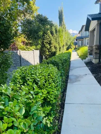 Professional yard maintenance in Woods Cross, UT - Rafael's Landscaping