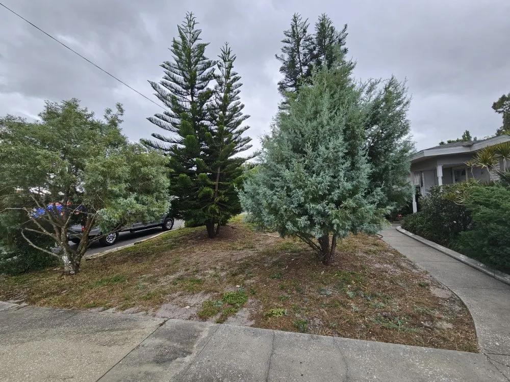 Custom outdoor landscaping for outdoor upgrades across Clearwater, FL - RAFAEL'S PROPERTY SERVICES CORP