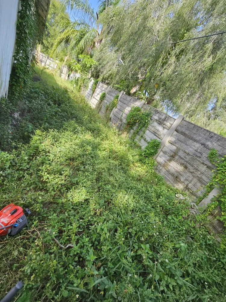 Trusted residential landscaping for year-round maintenance across Clearwater, FL - RAFAEL'S PROPERTY SERVICES CORP