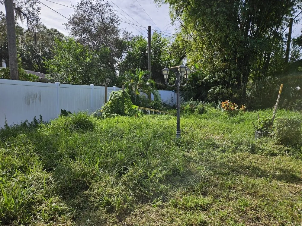 Affordable landscaping services experts serving Clearwater, FL - RAFAEL'S PROPERTY SERVICES CORP