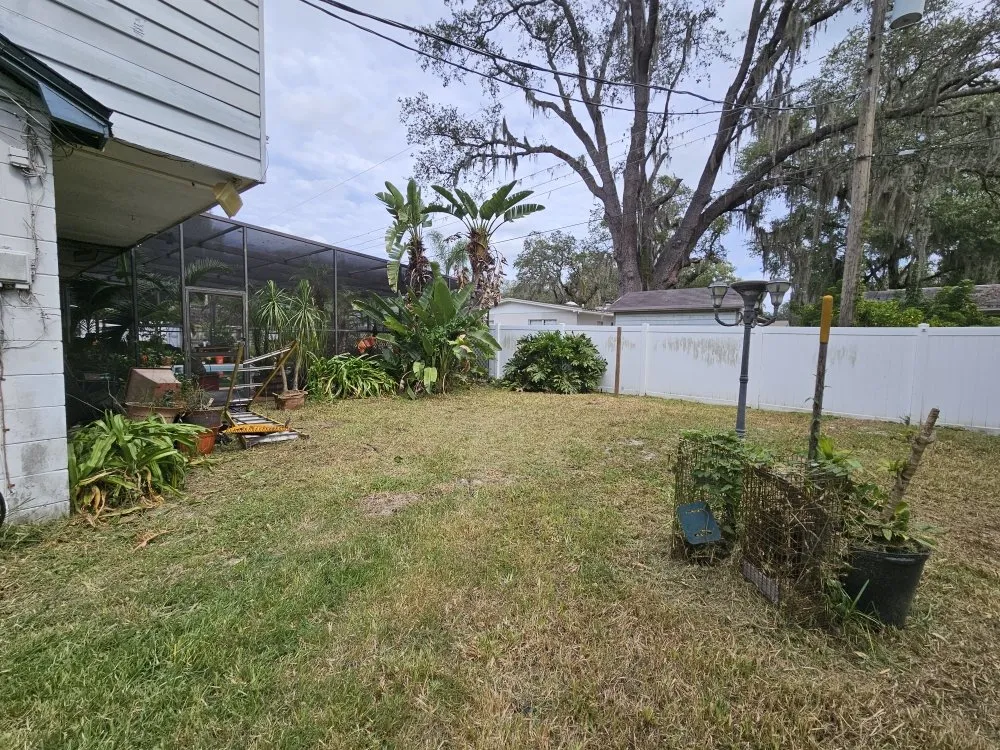 Local yard cleanup service in Clearwater, FL - RAFAEL'S PROPERTY SERVICES CORP