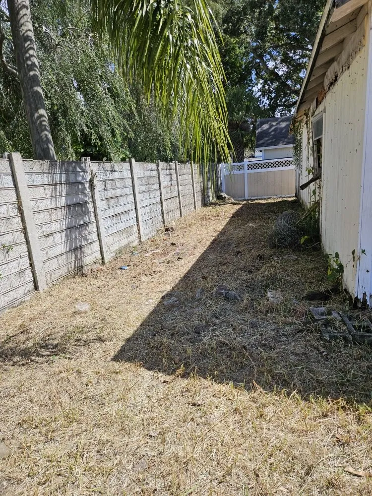 Affordable yard maintenance experts serving Clearwater, FL - RAFAEL'S PROPERTY SERVICES CORP