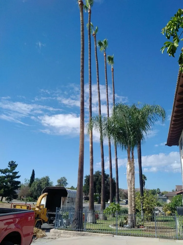 Custom outdoor landscaping in Jurupa Valley, CA - Rafael’s Tree Service & Landscaping