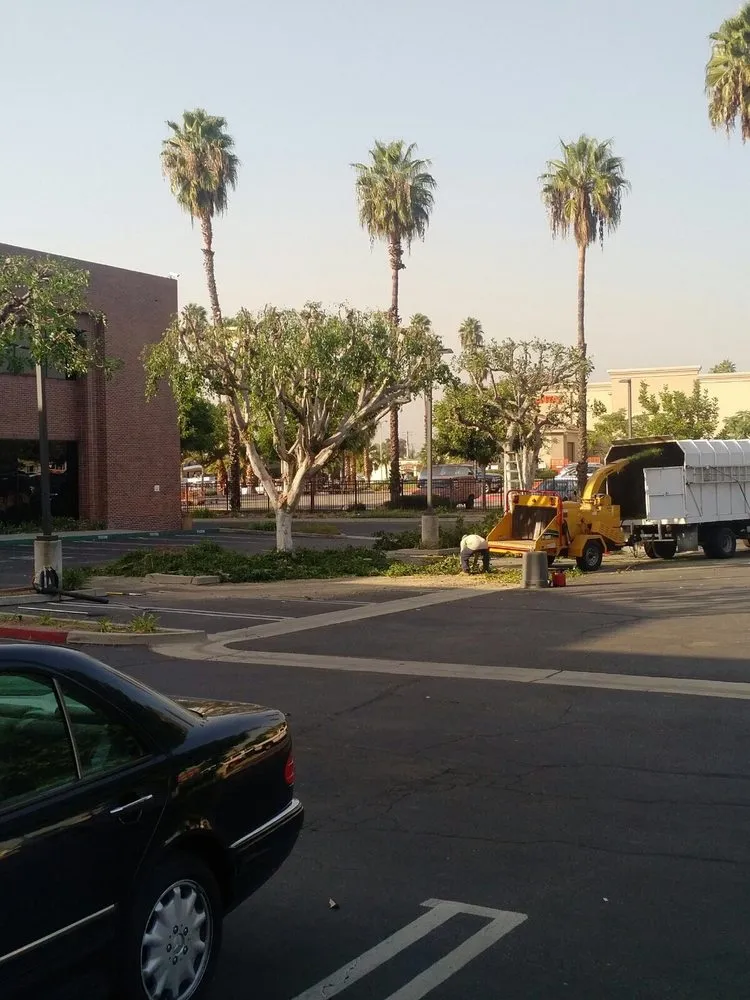 Custom garden landscaping in Jurupa Valley, CA by Rafael’s Tree Service & Landscaping