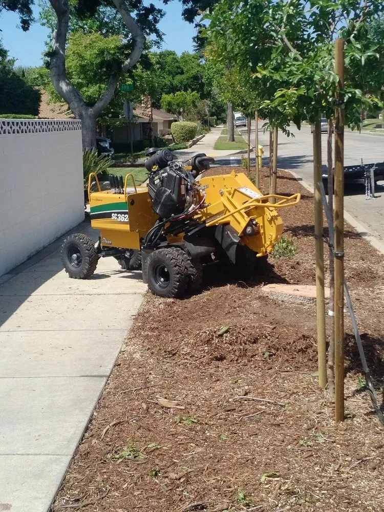 Expert landscape installation in Jurupa Valley, CA by Rafael’s Tree Service & Landscaping