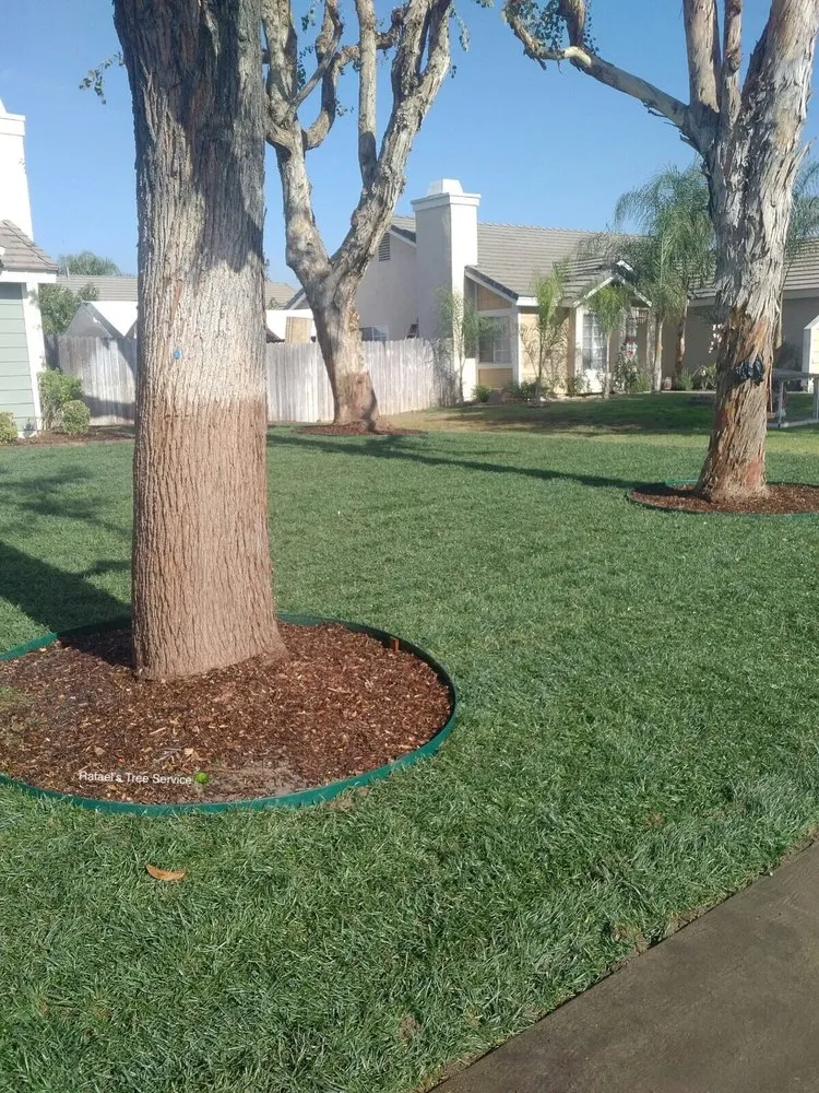 Custom landscaping services for residential properties in Jurupa Valley, CA by Rafael’s Tree Service & Landscaping