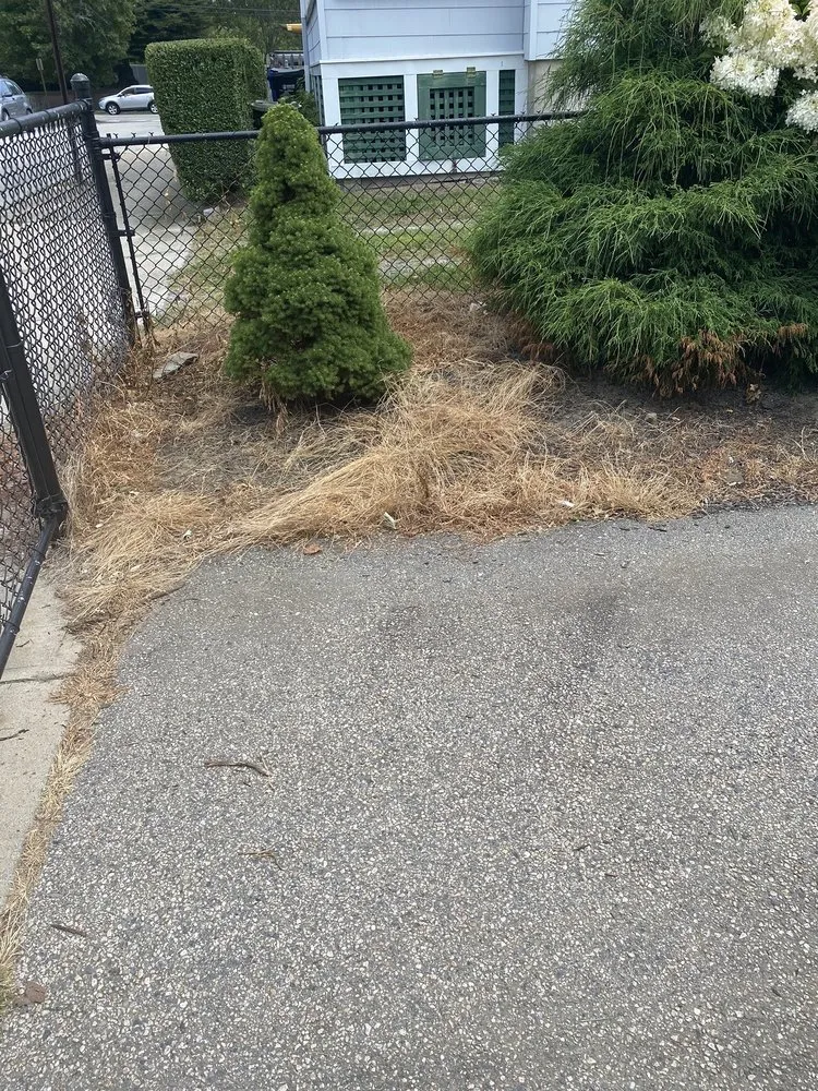 Affordable garden landscaping for residential properties in Middletown, RI by Rafas Landscaping