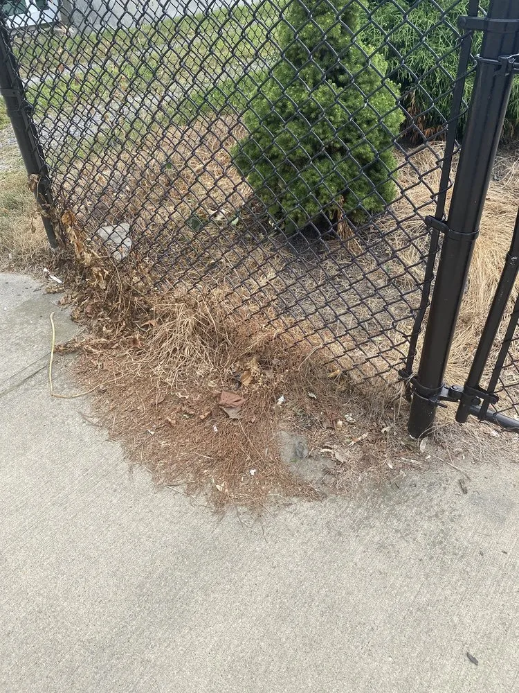 Top-rated yard cleanup service in Middletown, RI - Rafas Landscaping