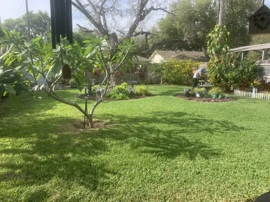 Rafa’s Lawn Care service