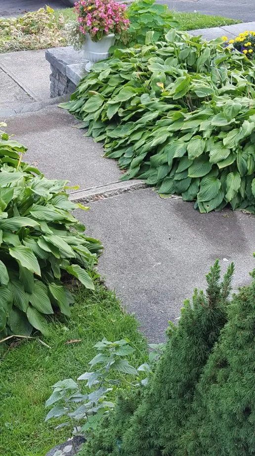 Professional lawn mowing service in Oswego, NY - Raffa Landscaping and Design