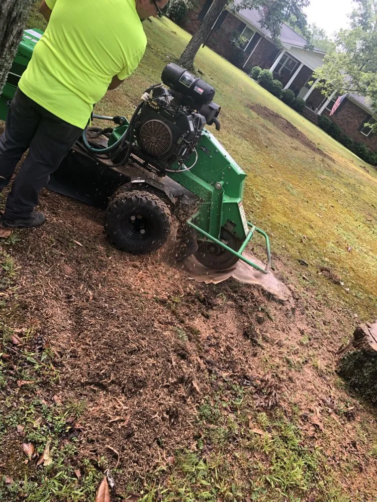 Custom yard maintenance in Chatsworth, GA - Rafferty’s Landscaping and Tree Service