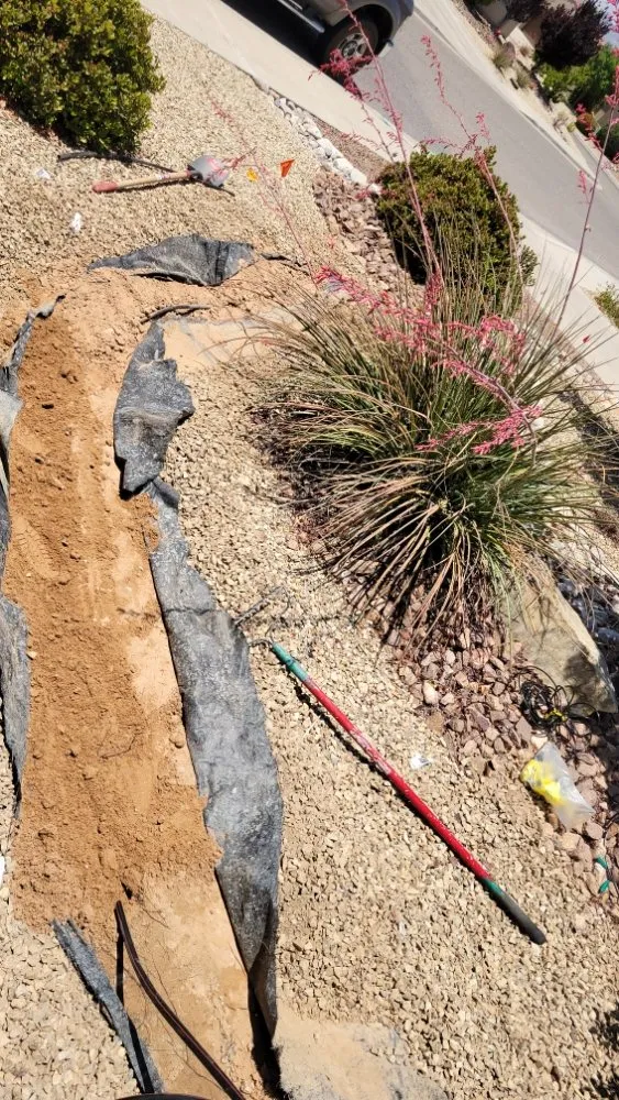 Custom yard cleanup service near you in Las Cruces, NM by Rafter Landscaping