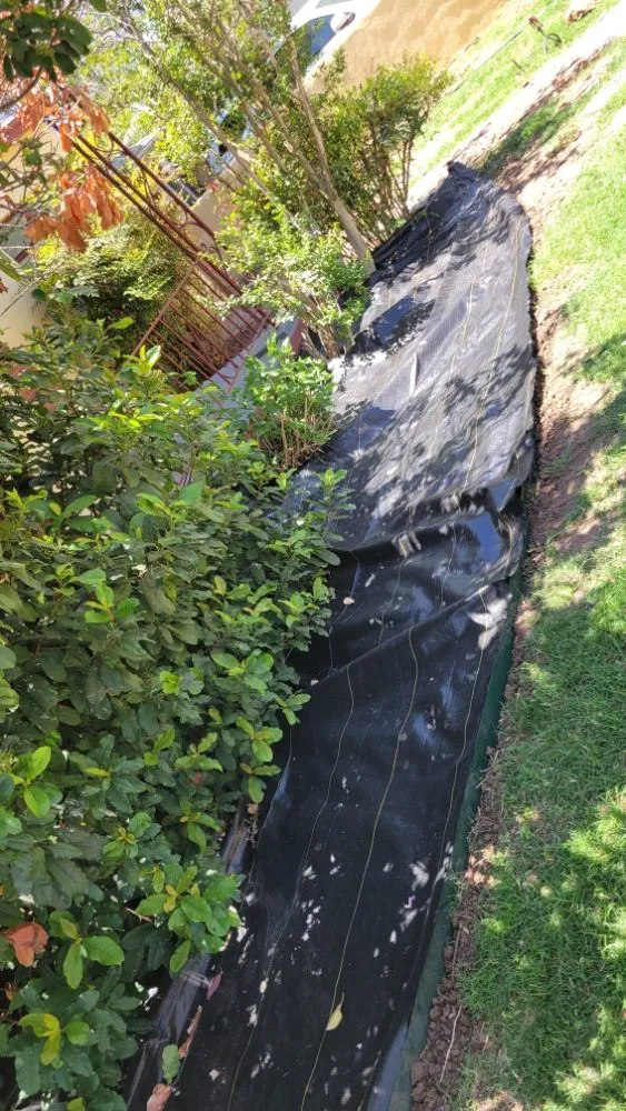 Top-rated yard cleanup service for residential properties in Las Cruces, NM by Rafter Landscaping