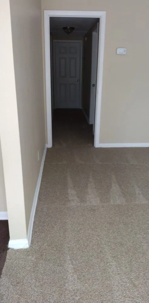 Custom landscape installation for year-round maintenance across Jacksonville, FL - Rag To Riches Cleaning Solutions