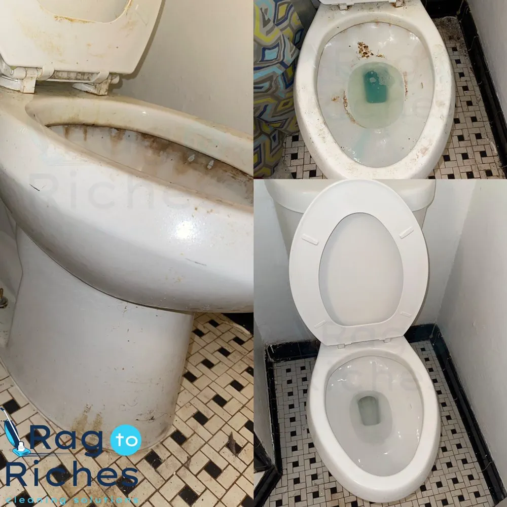 Trusted lawn care service for year-round maintenance across Jacksonville, FL - Rag To Riches Cleaning Solutions