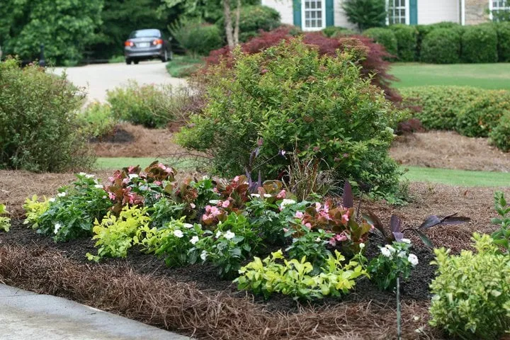 Trusted lawn care service in Bogart, GA by Ragle Lawn Services