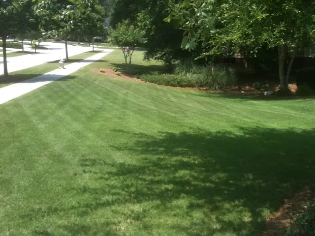 Reliable yard cleanup service in Bogart, GA - Ragle Lawn Services