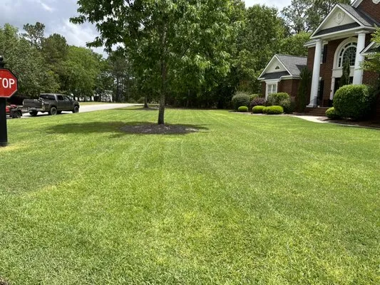 RAG’S Precision Lawn Care Logo