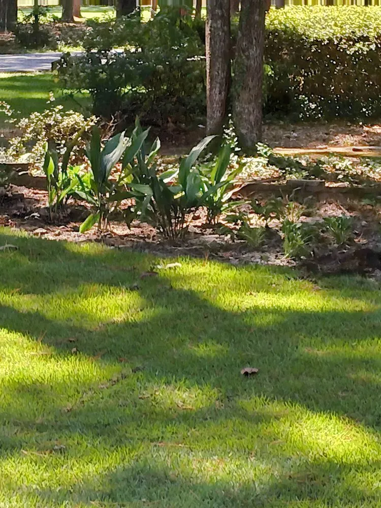Reliable landscape design in Rembert, SC by Rags to riches Lawn And Landscape