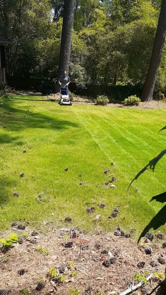 Local landscape design for residential properties across Rembert, SC - Rags to riches Lawn And Landscape