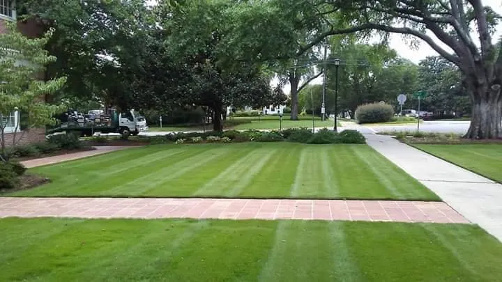 Expert lawn care service in Rembert, SC by Rags to riches Lawn And Landscape