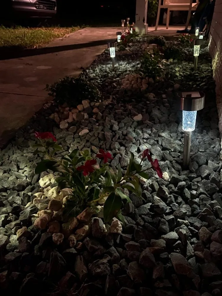 Local lawn care service for outdoor upgrades across West Palm Beach, FL - Rahman Services