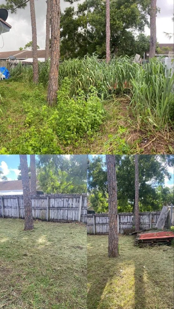 Top-rated yard cleanup service for year-round maintenance in West Palm Beach, FL by Rahman Services