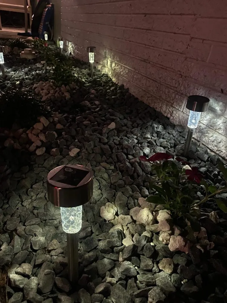 Expert landscape installation with custom design across West Palm Beach, FL - Rahman Services