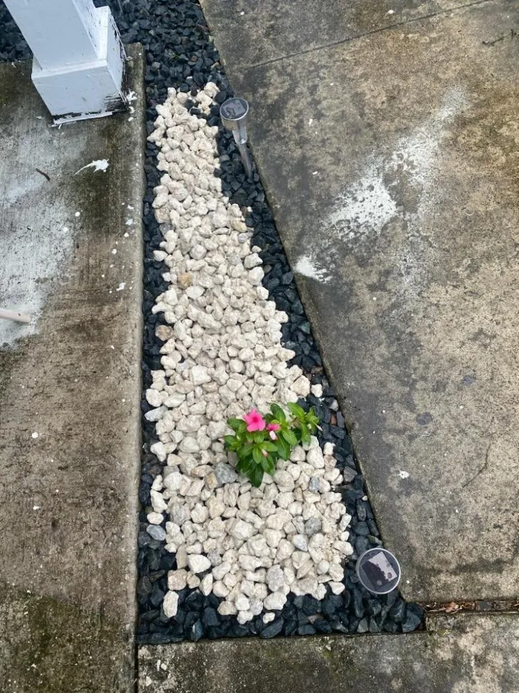 Top-rated landscaping services experts serving West Palm Beach, FL - Rahman Services